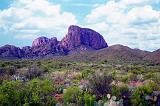 Big Bend 15
